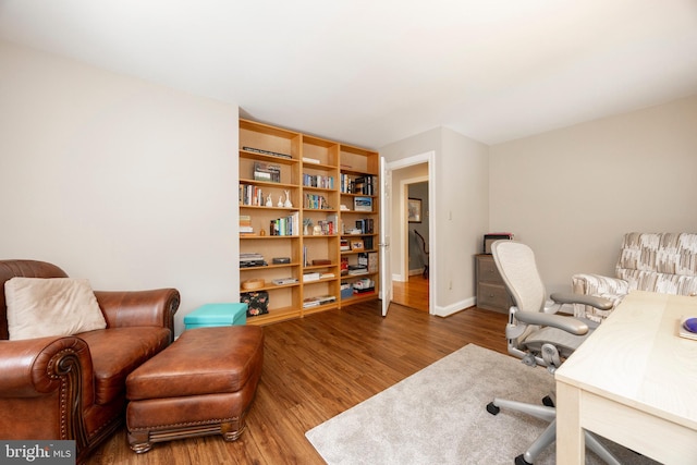 office with wood-type flooring