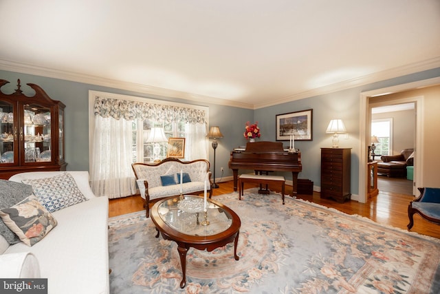 living area featuring wood-type flooring and ornamental molding