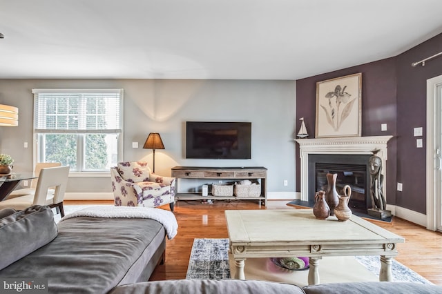 living room with light hardwood / wood-style flooring