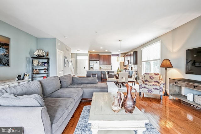 living room featuring light hardwood / wood-style flooring