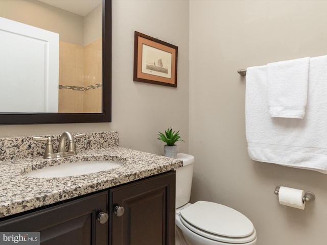 bathroom with toilet and vanity