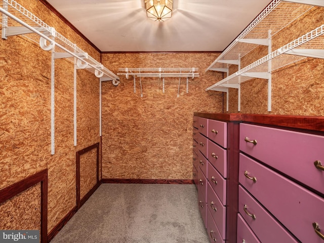 spacious closet with carpet