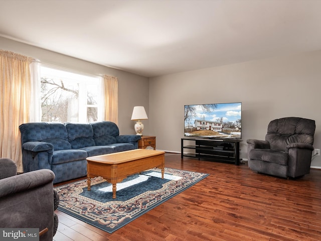 living room featuring hardwood / wood-style flooring