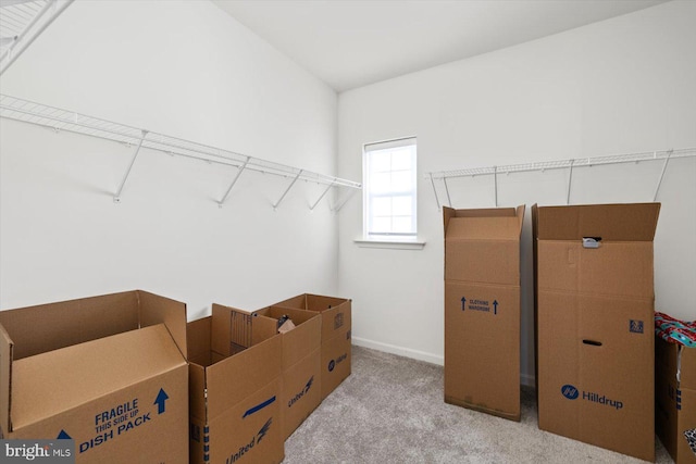 walk in closet with light carpet