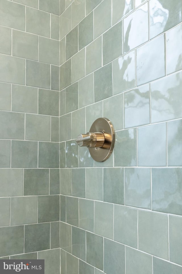 room details featuring tiled shower