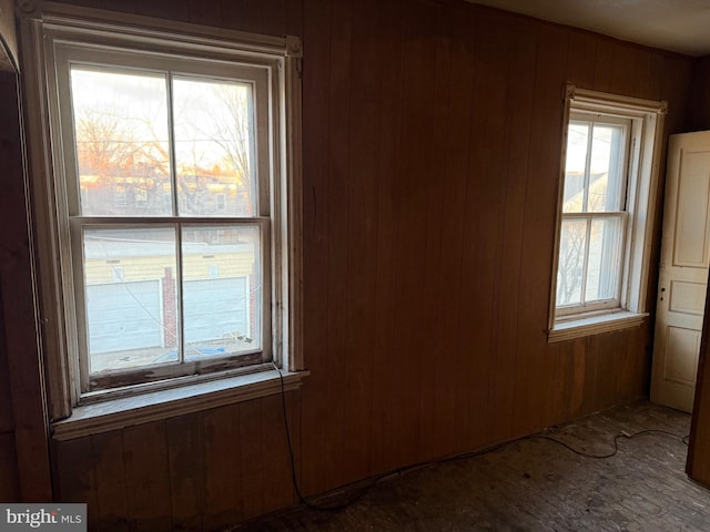 spare room featuring wood walls