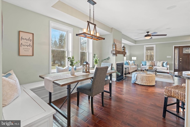 dining room with a tray ceiling, ceiling fan with notable chandelier, and dark hardwood / wood-style floors