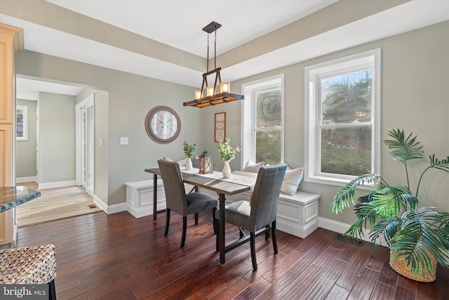 dining area featuring dark wood-type flooring