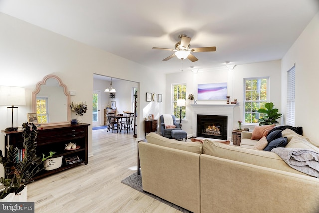 living room with ceiling fan and light hardwood / wood-style flooring