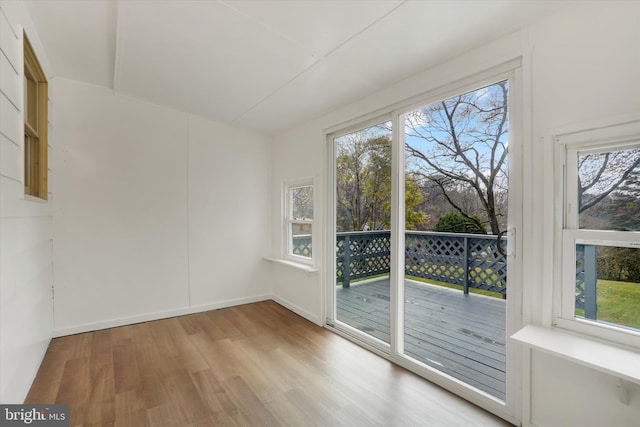 spare room featuring plenty of natural light and light hardwood / wood-style floors