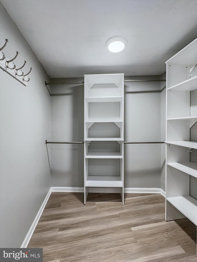 walk in closet featuring light hardwood / wood-style floors