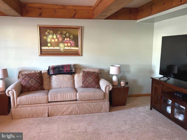 living room featuring light carpet and beamed ceiling