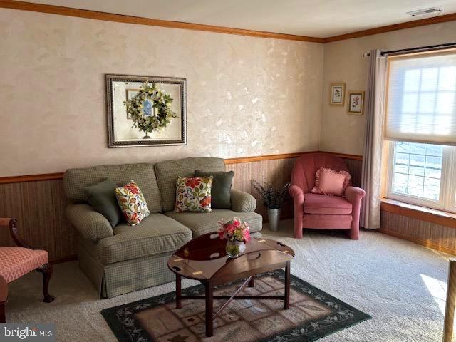 living room with wooden walls, a wealth of natural light, and crown molding