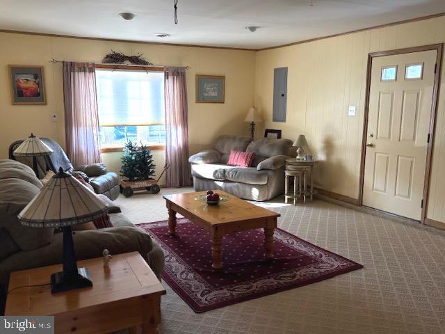 carpeted living room featuring electric panel