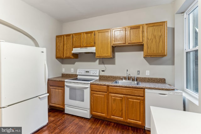 kitchen with dark hardwood / wood-style flooring, white appliances, and sink