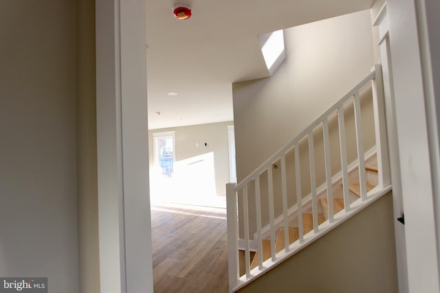 staircase with wood-type flooring