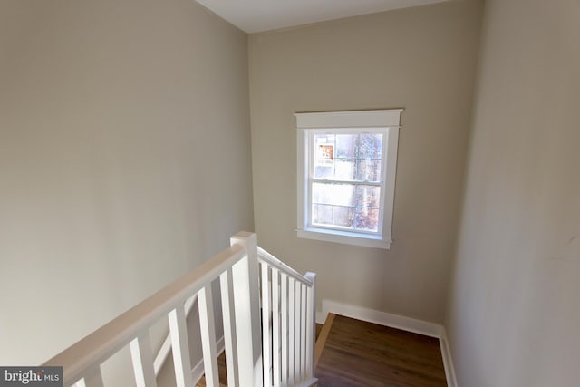 stairway featuring hardwood / wood-style flooring