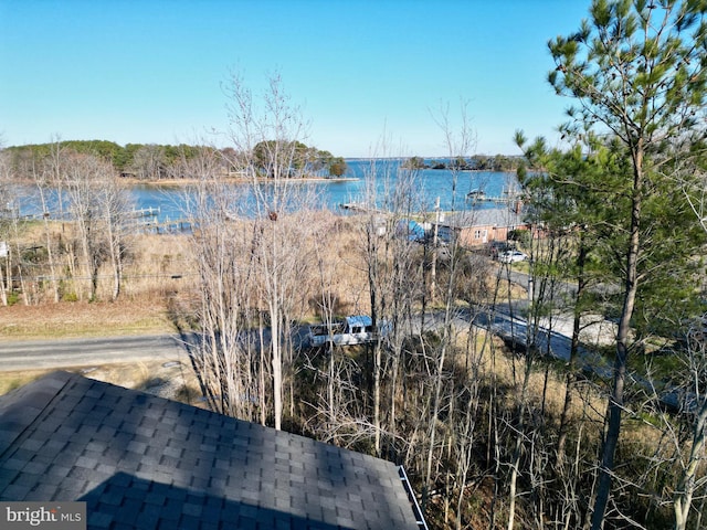 view of water feature