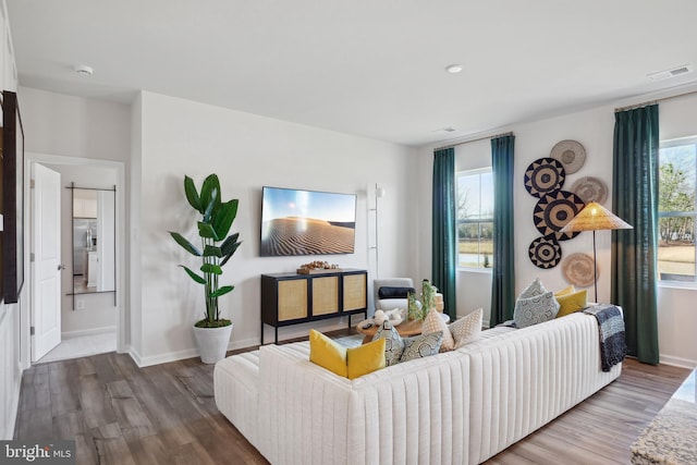 living room featuring hardwood / wood-style floors