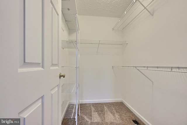 walk in closet with carpet