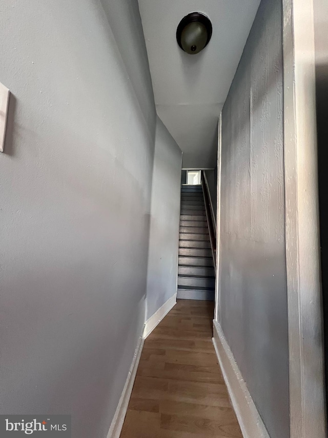 hallway featuring wood-type flooring