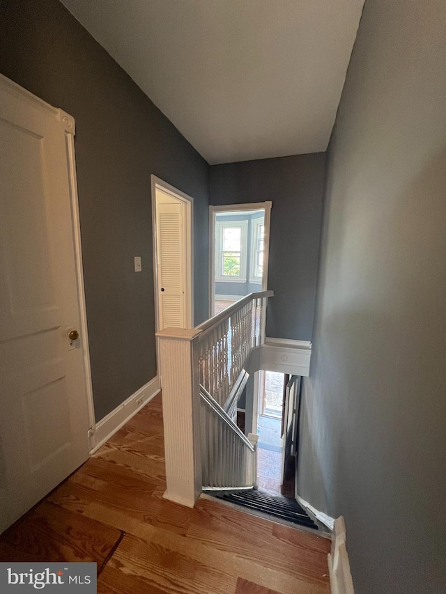 staircase with hardwood / wood-style flooring