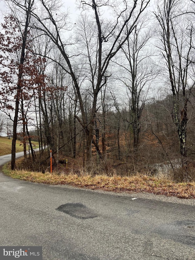 Listing photo 2 for SOG47.56GRASSYRUN Grassy Run Rd, Buckhannon WV 26201