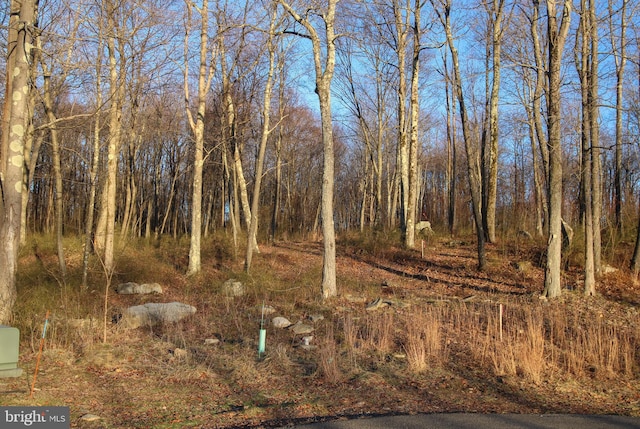 Listing photo 3 for LOT8 Fox Run Dr, Mc Henry MD 21541