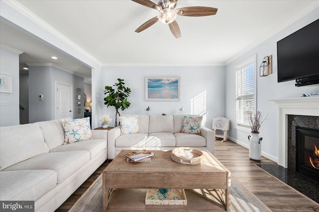 living room featuring crown molding, a fireplace, ceiling fan, and dark wood-type flooring