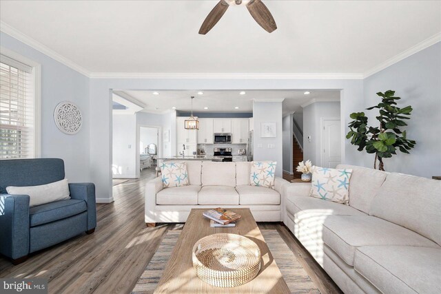 living room with ceiling fan, sink, wood-type flooring, and crown molding