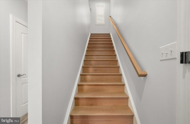 staircase featuring wood-type flooring