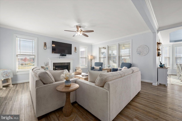 living room featuring dark hardwood / wood-style floors, ceiling fan, and ornamental molding