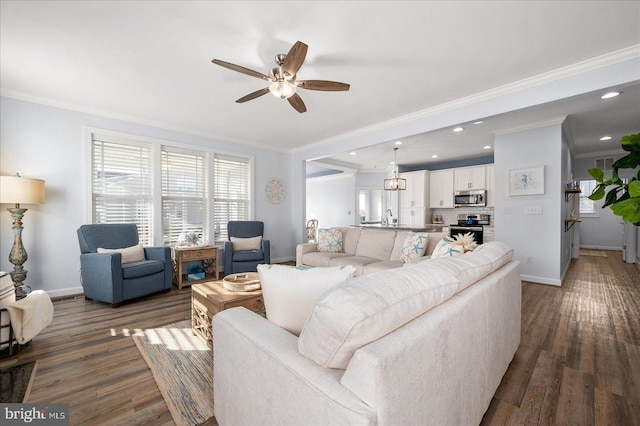 living room with ceiling fan, crown molding, and dark wood-type flooring