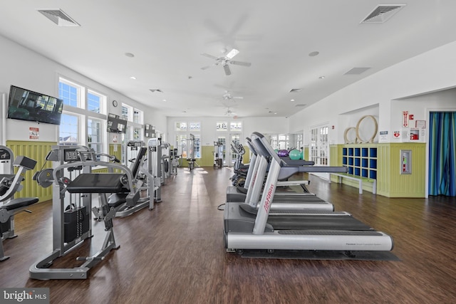 gym with ceiling fan and dark hardwood / wood-style flooring