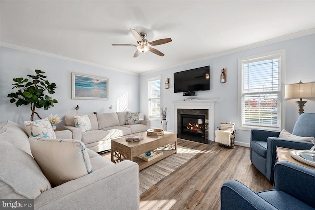 living room featuring a fireplace, ceiling fan, wood-type flooring, and ornamental molding