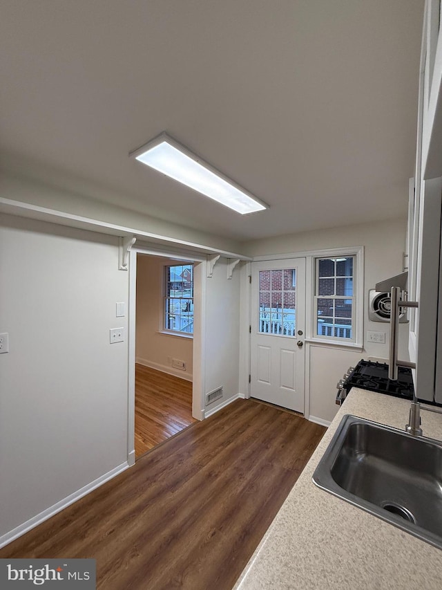 kitchen with sink and dark hardwood / wood-style floors