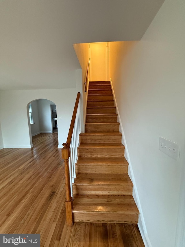 stairway with wood-type flooring