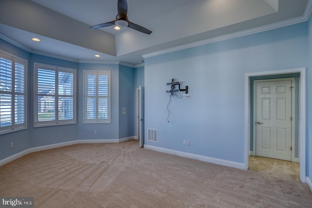 interior space with light colored carpet, a tray ceiling, and plenty of natural light