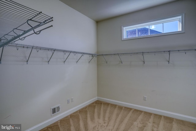 spacious closet with carpet