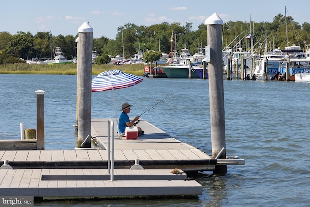 dock area with a water view