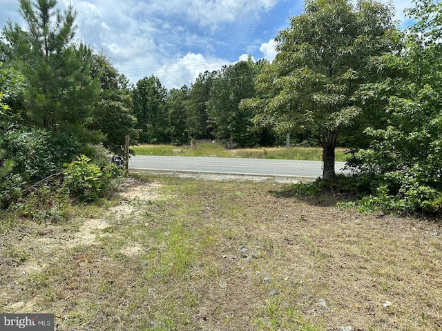 Listing photo 3 for Jefferson Davis Hwy, Ruther Glen VA 22546