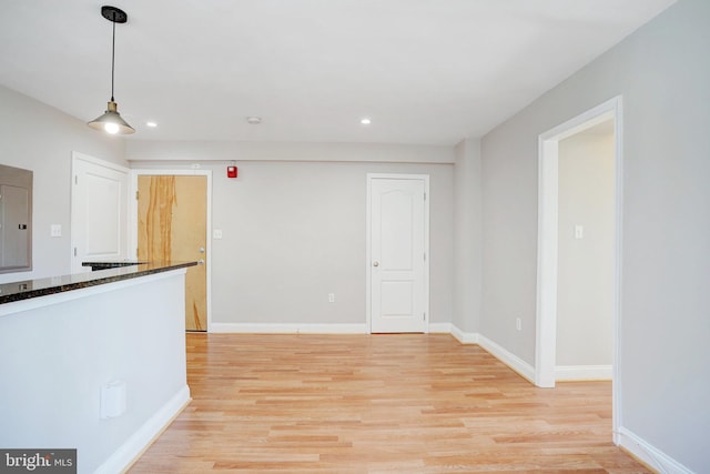 spare room with electric panel and light wood-type flooring