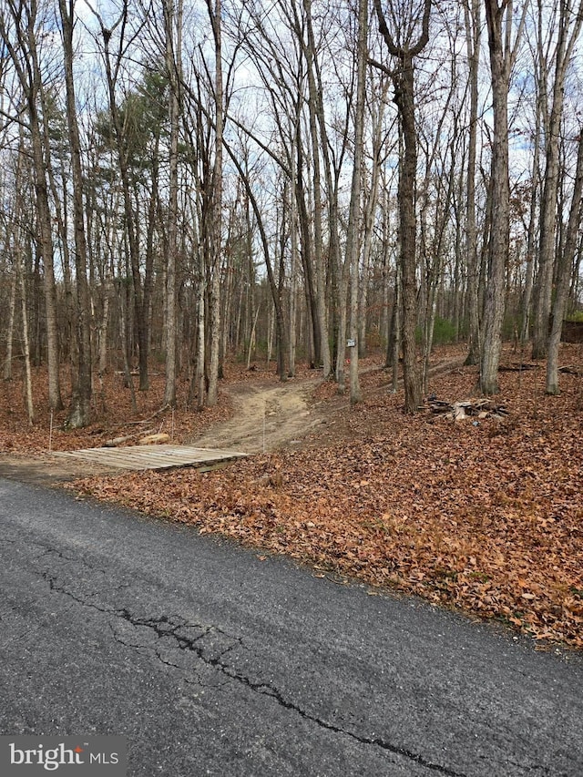 Smith Creek Rd, New Market VA, 22844 land for sale