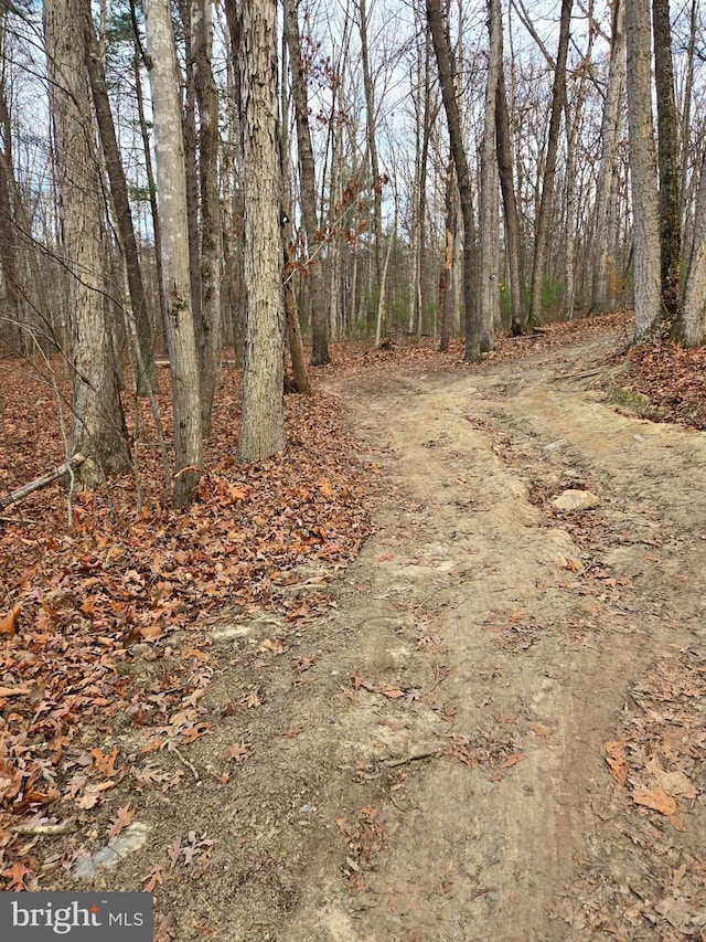 Listing photo 2 for Smith Creek Rd, New Market VA 22844