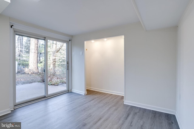 empty room with hardwood / wood-style floors