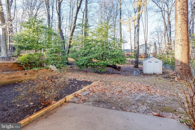 view of yard with a shed