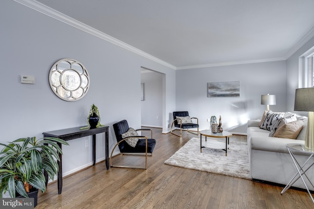 living room with crown molding and wood-type flooring