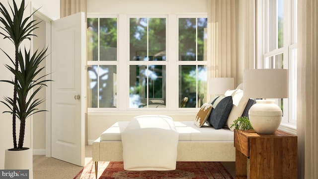 view of carpeted bedroom