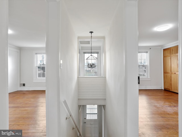 corridor featuring hardwood / wood-style flooring, plenty of natural light, and a notable chandelier