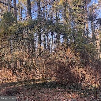 330 Lessin Dr, Lusby MD, 20657 land for sale